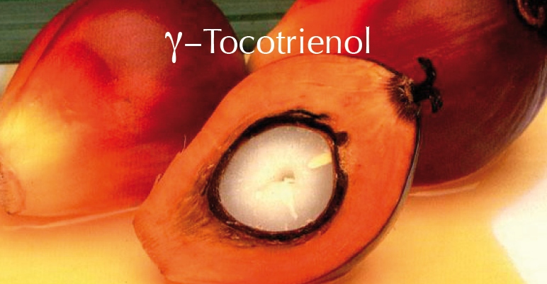 Palmfrüchte, die beste Quelle für gamma-Tocotrienol